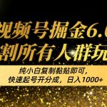 视频号掘金6.0收割所有人群玩法！纯小白复制黏贴即可，快速起号开分成，日入1000+-梦帆创业网