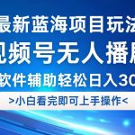 （12791期）视频号最新玩法，无人播剧，轻松日入3000+，最新蓝海项目，拉爆流量收…-梦帆创业网