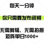 （12538期）矩阵单日1000+，你只需要发布视频，用时一分钟，无需剪辑，无需拍摄-梦帆创业网
