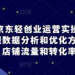 2024京东轻创业运营实操起店课程，掌握数据分析和优化方法，提升店铺流量和转化率-梦帆创业网