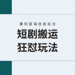 （9558期）【蓝海野路子】视频号玩短剧，搬运+连爆打法，一个视频爆几万收益！附搬…-梦帆创业网