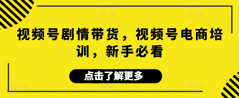 视频号剧情带货，视频号电商培训，新手必看-梦帆创业网