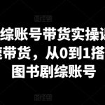 图书剧综账号带货实操课，0基础极速带货，从0到1搭建一个图书剧综账号-梦帆创业网