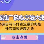 同城推广核心方法大揭秘：掌握自然与付费流量的奥秘，开启商家逆袭之路-梦帆创业网