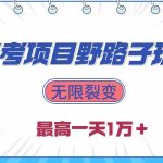 （10150期）2024高考项目野路子玩法，无限裂变，最高一天1W＋！-梦帆创业网