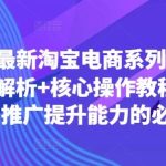 2024年最新淘宝电商系列课，底层逻辑解析+核心操作教程，运营、推广提升能力的必学-梦帆创业网