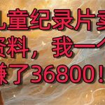 靠儿童纪录片卖教辅资料，一个月赚了36800！暴力变现2.0版本，喂饭级教学-梦帆创业网