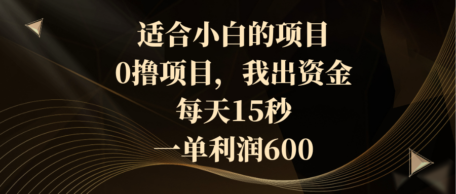 适合小白的项目，0撸项目，我出资金，每天15秒，一单利润600-梦帆创业网