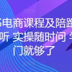 小红书电商课程及陪跑，课程反复听 实操随时问 学这一门就够了-梦帆创业网
