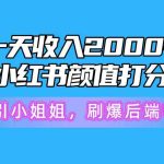 （10187期）一天收入2000+，最新小红书颜值打分项目，吸引小姐姐，刷爆后端收益-梦帆创业网