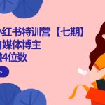 100天-小红书特训营【七期】带你做自媒体博主 每月多赚4位数 IP账号全指南-梦帆创业网