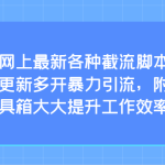 互联网上最新各种截流脚本，全自动更新多开暴力引流，附带常用工具箱大大提升工作效率-梦帆创业网
