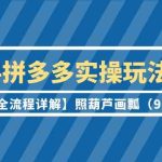 （9559期）2024拼多多实操玩法合集【0-1全流程详解】照葫芦画瓢（9节课）-梦帆创业网