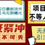 小红书8月最新技术无限曝光亲测单账号日引精准粉100+无压力（脚本＋教程）-梦帆创业网