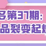 拼多多第37期：拼多多单品裂变起爆2.0-梦帆创业网