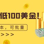 单号最低100美金，零成本，小白无脑操作。可复制，可扩大。-梦帆创业网