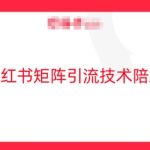 小红书矩阵引流技术，教大家玩转小红书流量-梦帆创业网