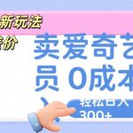 咸鱼掘金新玩法 赚差价 卖爱奇艺会员 0成本投入 轻松日收入300+-梦帆创业网