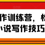 网文写作训练营，松掌握小说写作技巧-梦帆创业网