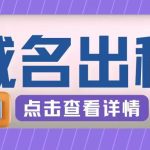 冷门项目，域名出租玩法，简单粗暴适合小白【揭秘】-梦帆创业网