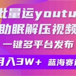 （9727期）批量搬运YouTube解压助眠视频 一键多平台发布 月入2W+-梦帆创业网