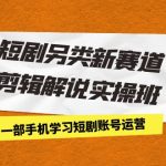 短剧另类新赛道剪辑解说实操班：一部手机学习短剧账号运营（29节 价值500）-梦帆创业网