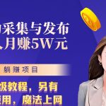 无需人工干预！全自动采集与发布，一人月赚5万的秘籍-梦帆创业网