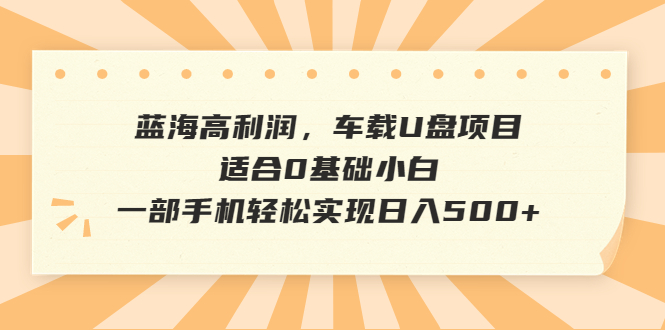 蓝海高利润，车载U盘项目，适合0基础小白，一部手机轻松实现日入500+-梦帆创业网