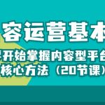 内容运营-基本功：从零开始掌握内容型平台运营核心方法（20节课）-梦帆创业网