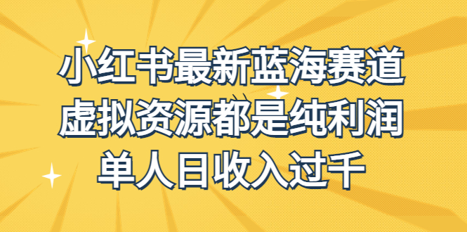 外面收费1980的小红书最新蓝海赛道，虚拟资源都是纯利润，单人日收入过千-梦帆创业网