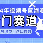（10195期）2024视频号冷门蓝海赛道，操作简单 单号收益可达四位数（教程+素材+工具）-梦帆创业网