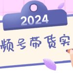 2024视频号最新带货实战课：无人直播/书单号卖货/个人IP口播 (附资料素材-梦帆创业网