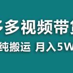 【蓝海项目】拼多多视频带货 纯搬运一个月搞了5w佣金，小白也能操作 送工具-梦帆创业网