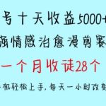 十天收益5000+，多平台捞金，视频号情感治愈漫剪，一个月收徒28个，小白一部手机轻松上手-梦帆创业网