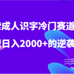 探索成人识字冷门赛道，实现日入2000+的逆袭人生！-梦帆创业网