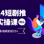 2024最火爆的项目短剧推广实操课，一条视频变现5万+【附软件工具】-梦帆创业网