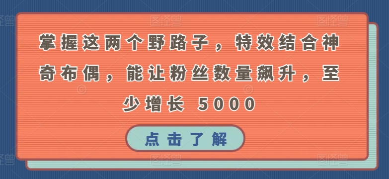 掌握这两个野路子，特效结合神奇布偶，能让粉丝数量飙升，至少增长 5000-梦帆创业网