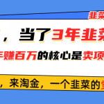 （10759期）悟了，当了3年韭菜，才发现网赚圈年赚100万的核心是卖项目，含泪分享！-梦帆创业网