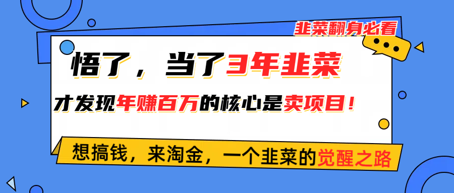 （10759期）悟了，当了3年韭菜，才发现网赚圈年赚100万的核心是卖项目，含泪分享！-梦帆创业网