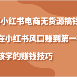 2024小红书电商无货源搞钱计划，个体在小红书风口赚到第一桶金应该学的赚钱技巧-梦帆创业网