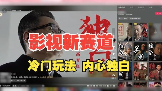 最新影视解说玩法，人物独白，30天涨粉24万+，全流程拆解【揭秘】-梦帆创业网