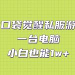 靠口袋觉醒私服游戏，一台电脑，小白也能1w+（教程+工具+资料）-梦帆创业网