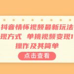 抖音情怀视频最新玩法，多种变现方式，单挑视频变现1000+，操作及其简单-梦帆创业网