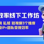 变现-效率线下工作坊，从直播间、私域、短视频3个维度 升级IP+团队变现效率-梦帆创业网