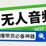 外面收费588的智能AI无人音频处理器软件，音频自动回复，自动讲解商品-梦帆创业网