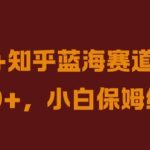 抖音+知乎蓝海赛道，日入几张，小白保姆级教程【揭秘】-梦帆创业网