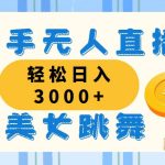 快手无人直播美女跳舞，轻松日入3000+，蓝海赛道，上手简单-梦帆创业网