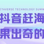 最新抖音+快手赶海无人直播流量庞大，效果出奇的好（教程+素材）-梦帆创业网