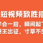 爆款短视频致胜招法,学会一招,瞬间起飞,卷王出征,寸草不生-梦帆创业网