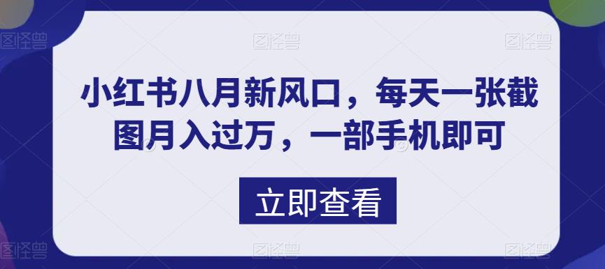 八月新风口，小红书虚拟项目一天收入1000+，实战揭秘-梦帆创业网